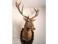 Cerb nobil - medalie de aur