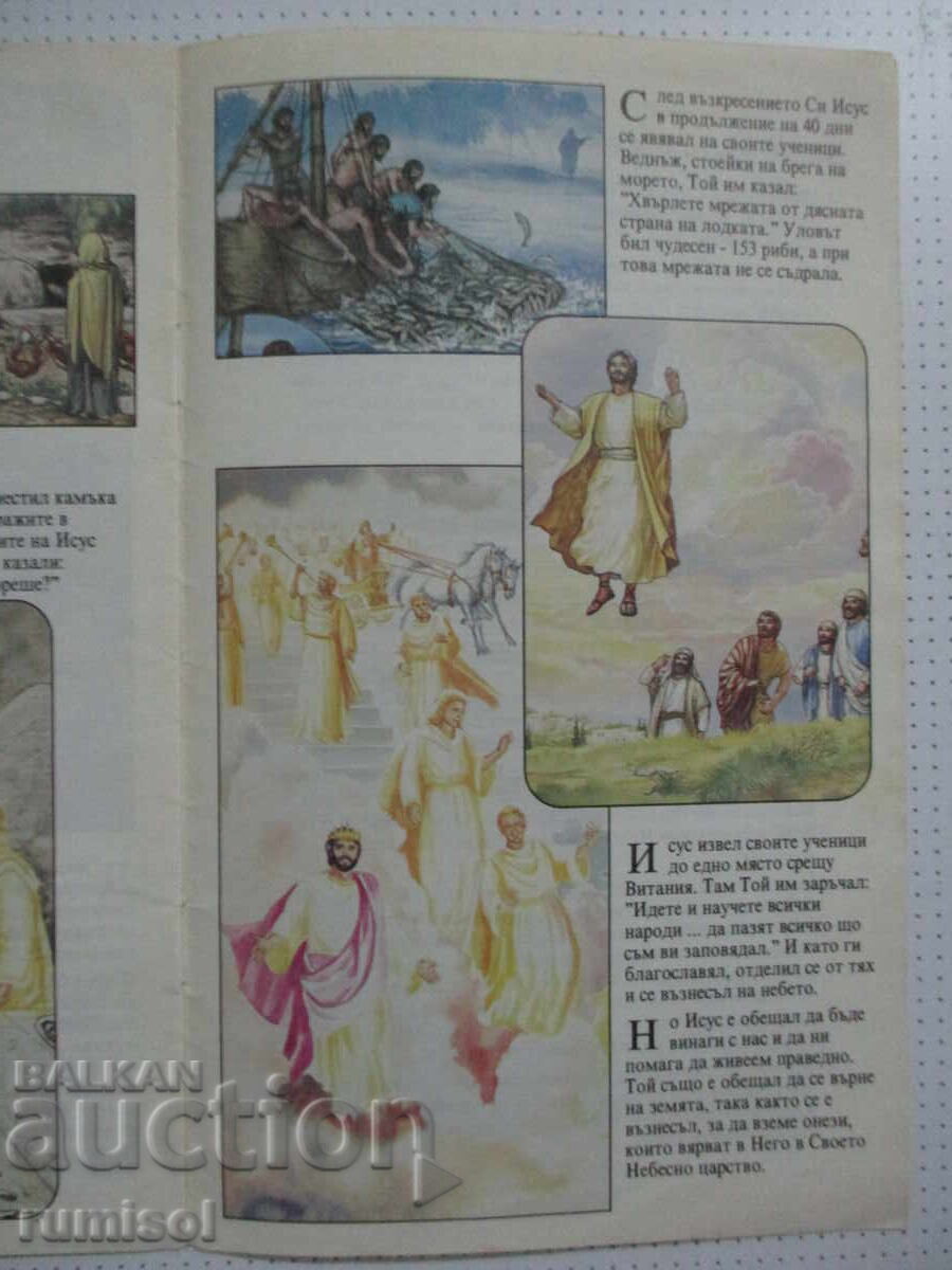 Auction  A Story About Jesus - Brochure