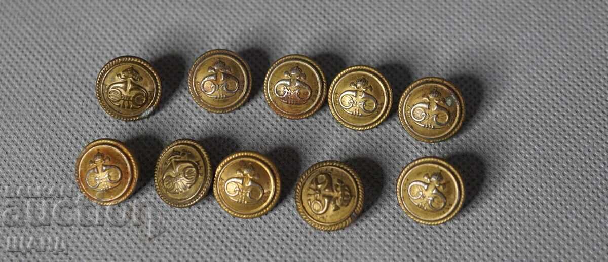 10 Butoane Regatul Bulgariei pentru uniformă militară MUZICALE