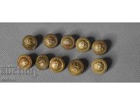 10 Butoane Regatul Bulgariei pentru uniformă militară MUZICALE