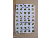 Art Between Tradition and Provocation, Svilen Stefanov