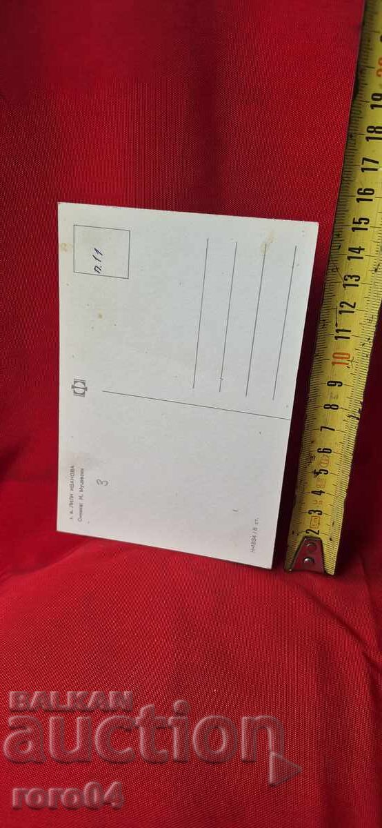 Delivery of LILY IVANOVA Delivery of LILY IVANOVA