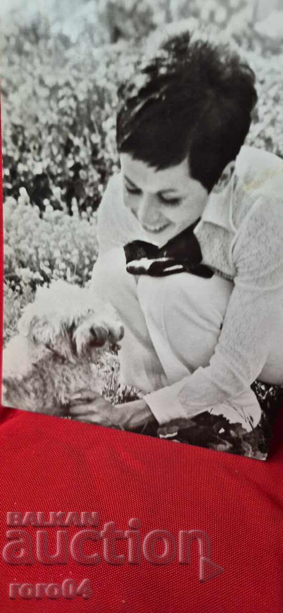 ΛΙΛΙ ΙΒΑΝΟΒΑ με τιμή 5.55 BGN | € 2.84 ΛΙΛΙ ΙΒΑΝΟΒΑ με τιμή 5.55 BGN | € 2.84