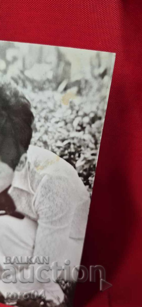 Licitație LILY IVANOVA