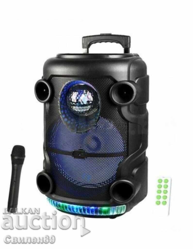 Licitație Sistem karaoke cu boxă și microfon, KTS-1519