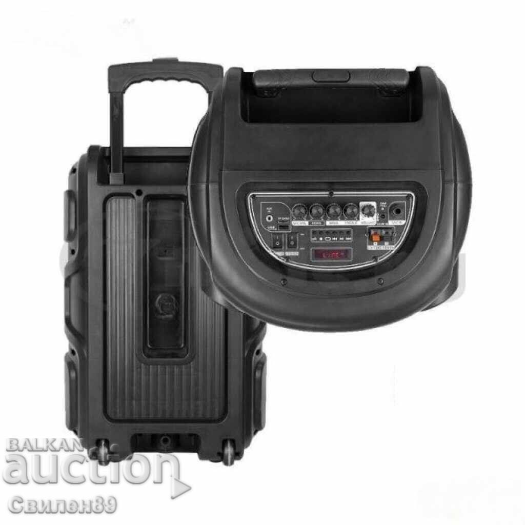 Sistem karaoke cu boxă și microfon, KTS-1519 - 5