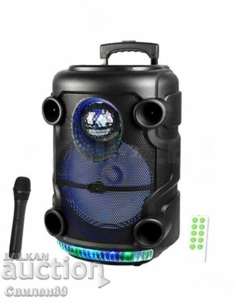 Sistem karaoke cu boxă și microfon, KTS-1519 - 6