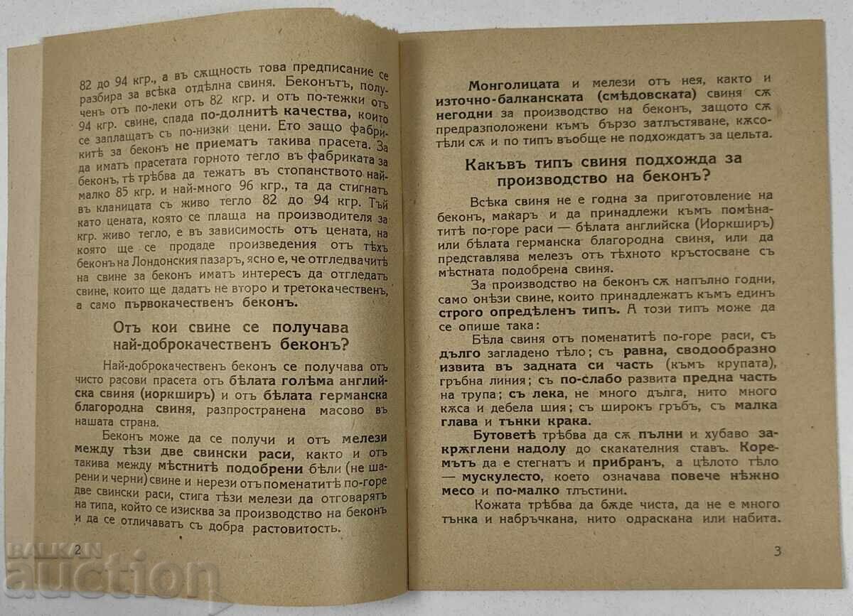 Auction How to Raise and Feed Young Pigs for Bacon Auction How to Raise and Feed Young Pigs for Bacon