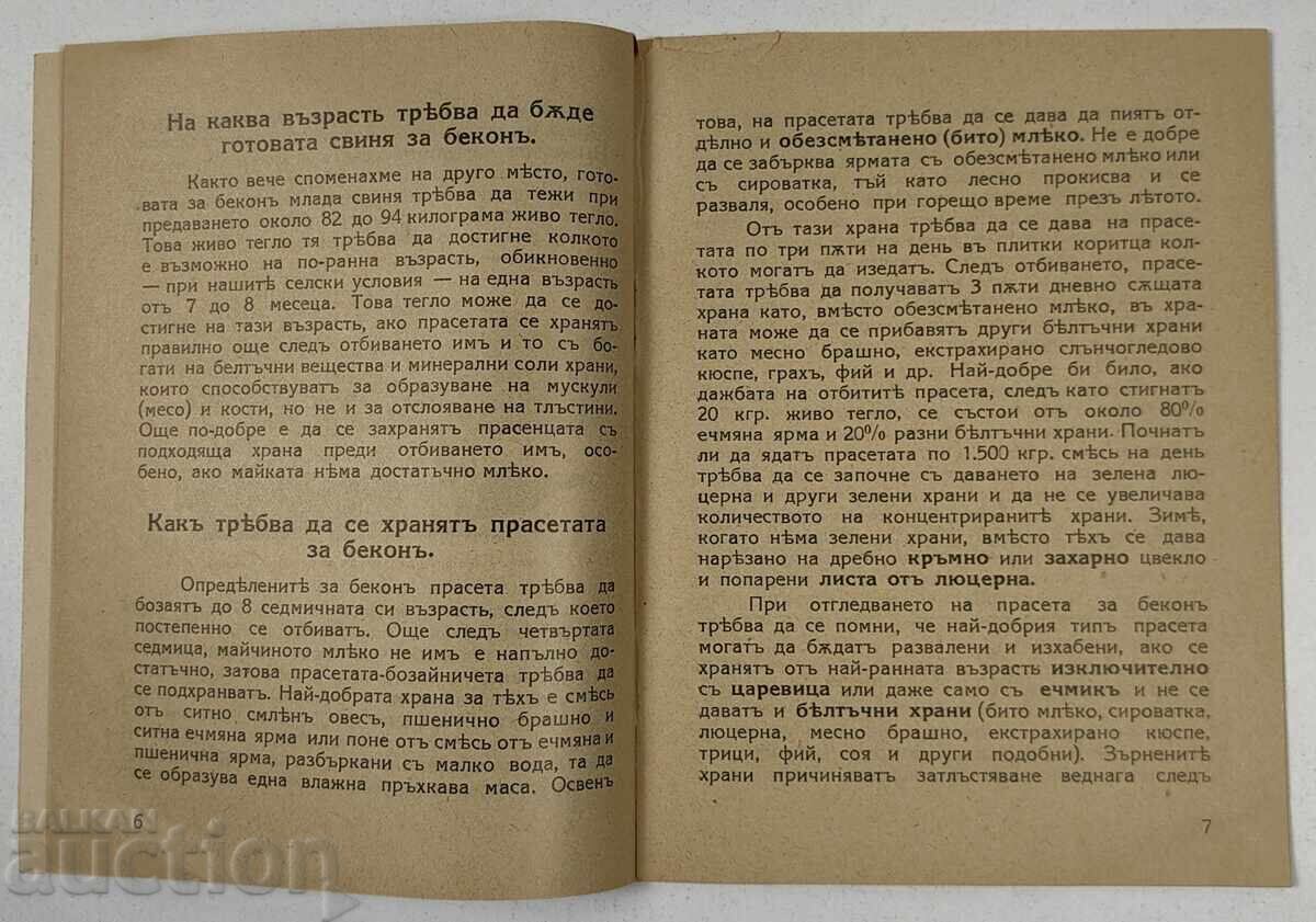 Παράδοση 1935 ΠΩΣ ΑΝΑΠΤΥΣΣΟΝΤΑΙ ΚΑΙ ΤΡΕΦΟΝΤΑΙ ΝΕΑ ΓΟΥΡΟΥΝΙΑ ΓΙΑ ΜΠΕΪΚΟΝ