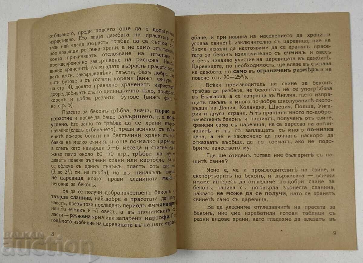 1935 ΠΩΣ ΑΝΑΠΤΥΣΣΟΝΤΑΙ ΚΑΙ ΤΡΕΦΟΝΤΑΙ ΝΕΑ ΓΟΥΡΟΥΝΙΑ ΓΙΑ ΜΠΕΪΚΟΝ - 5