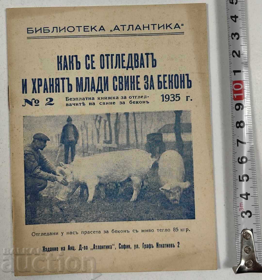 How to Raise and Feed Young Pigs for Bacon How to Raise and Feed Young Pigs for Bacon