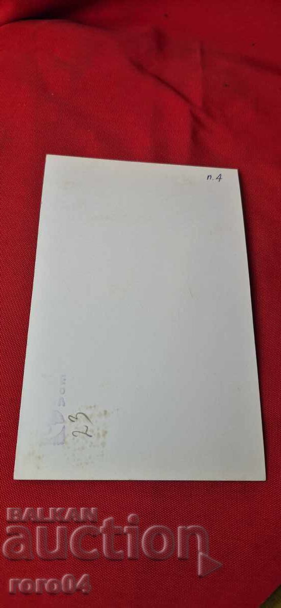 ΛΙΛΙ ΙΒΑΝΟΒΑ - 5 ΛΙΛΙ ΙΒΑΝΟΒΑ - 5