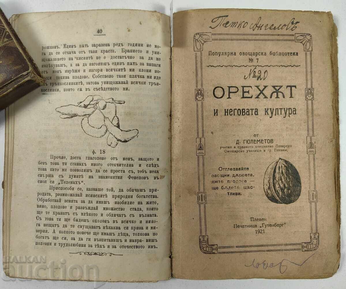 Παράδοση ΚΟΝΒΟΛΥΤ 1904 ΓΟΒΟΡΑ ΣΤΟ ΟΠΩΡΟΦΟΡΟ ΔΕΝΤΡΟ + 1921 Ο ΚΑΡΥΔΑΣ