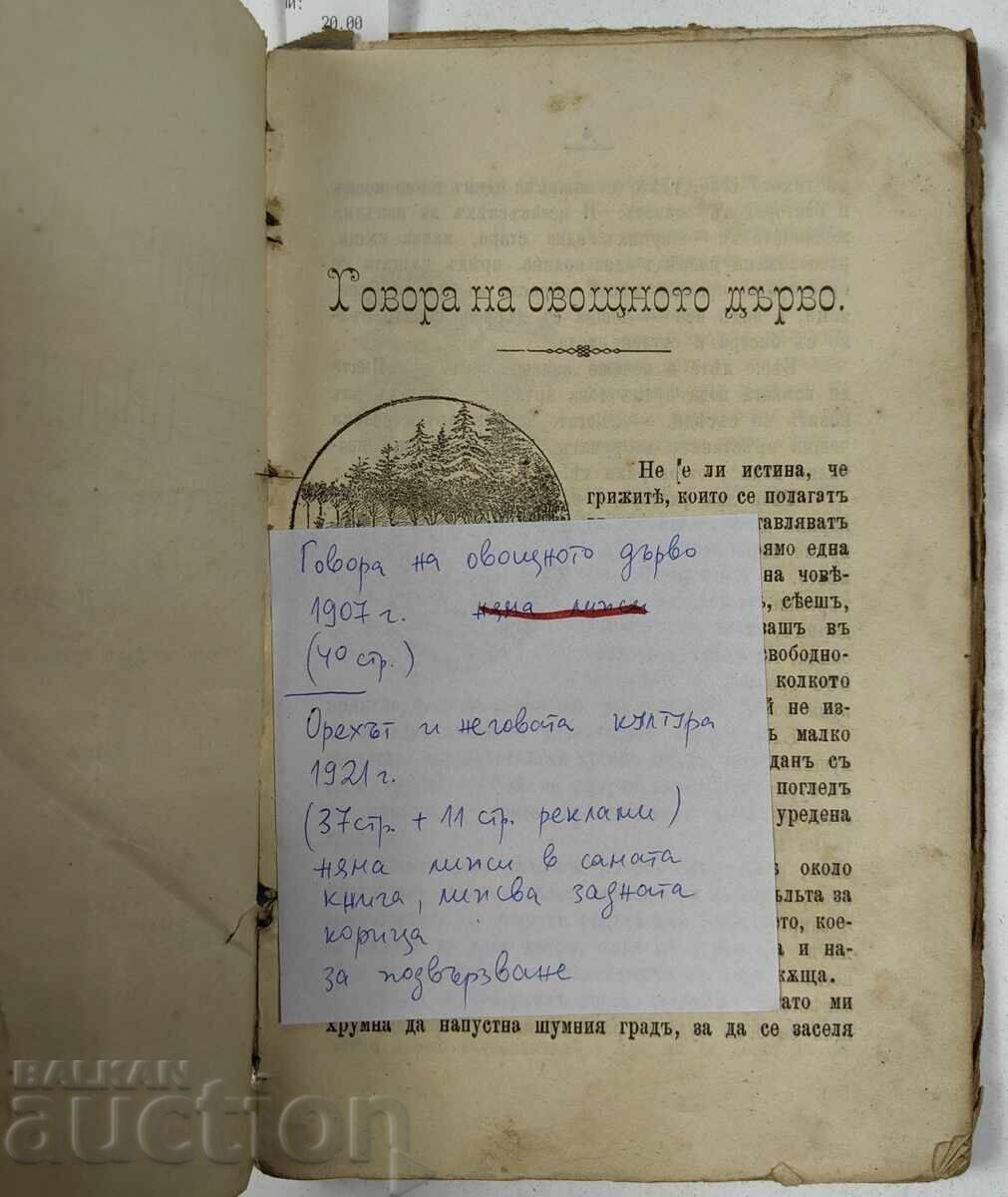 ΚΟΝΒΟΛΥΤ 1904 ΓΟΒΟΡΑ ΣΤΟ ΟΠΩΡΟΦΟΡΟ ΔΕΝΤΡΟ + 1921 Ο ΚΑΡΥΔΑΣ - 5