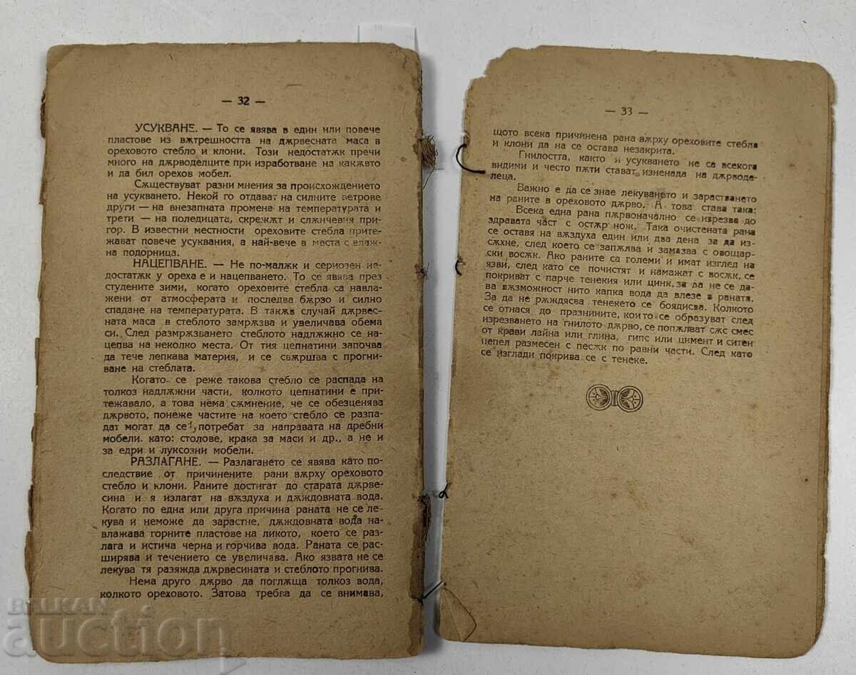 ΚΟΝΒΟΛΥΤ 1904 ΓΟΒΟΡΑ ΣΤΟ ΟΠΩΡΟΦΟΡΟ ΔΕΝΤΡΟ + 1921 Ο ΚΑΡΥΔΑΣ - 7