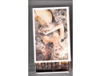 Scratch, burn, kneecap