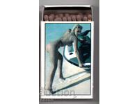 Scratch, burn, kneecap