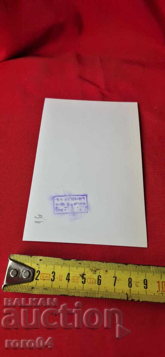 ΛΙΛΙ ΙΒΑΝΟΒΑ - 5