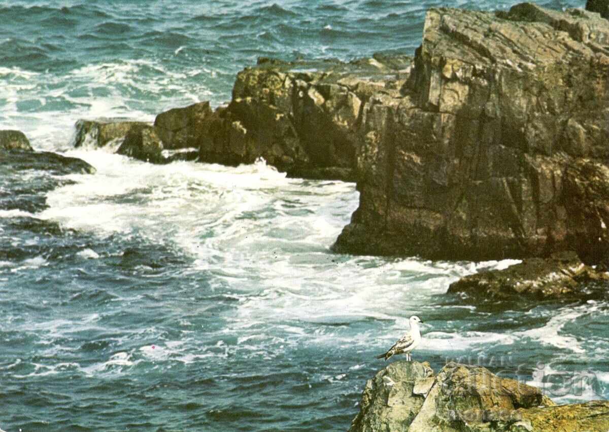 Carte poștală veche - Nisipurile de Aur, Stânci Carte poștală veche - Nisipurile de Aur, Stânci