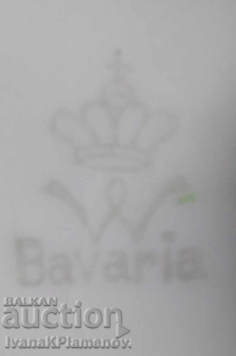 Porțelan Germania Bavaria pentru colecționari, excelent - 7