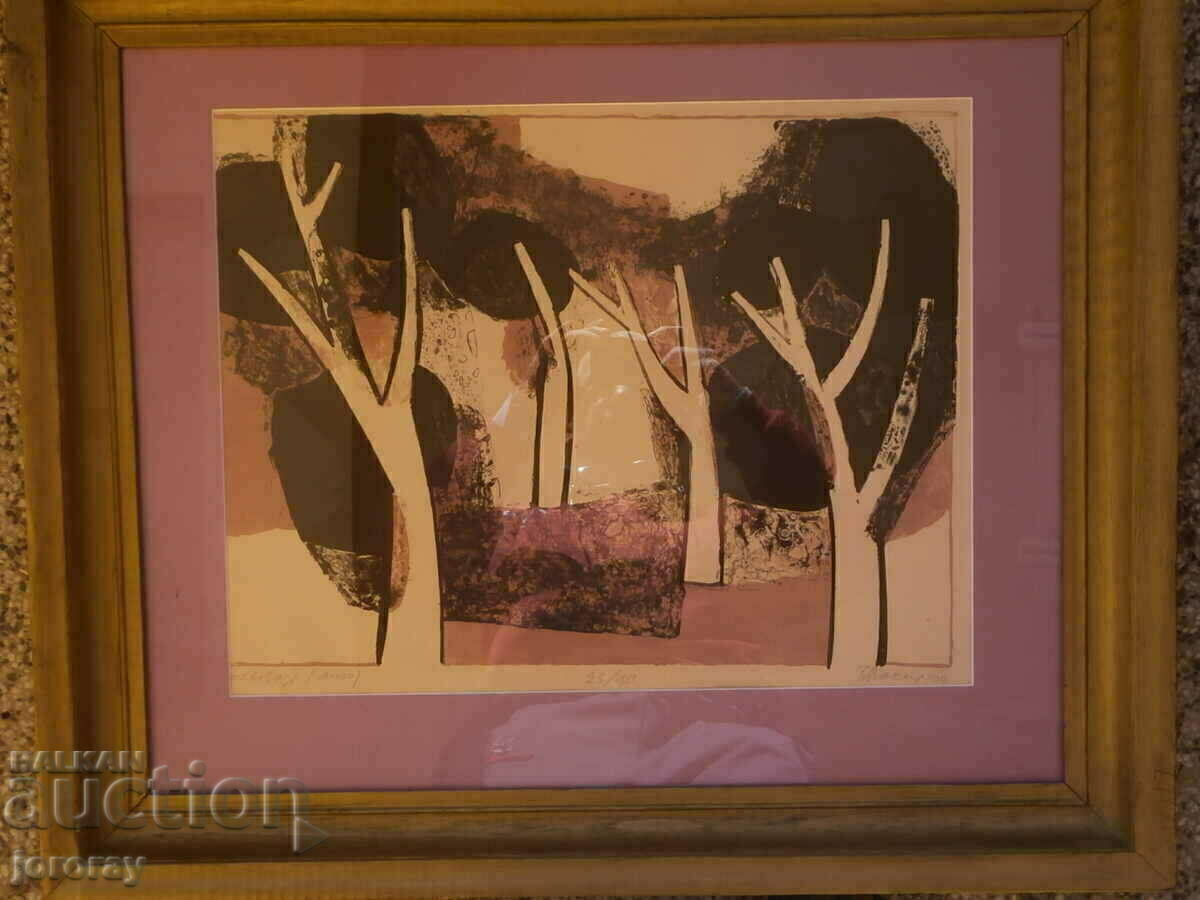 Литография В.Василева Литография В.Василева