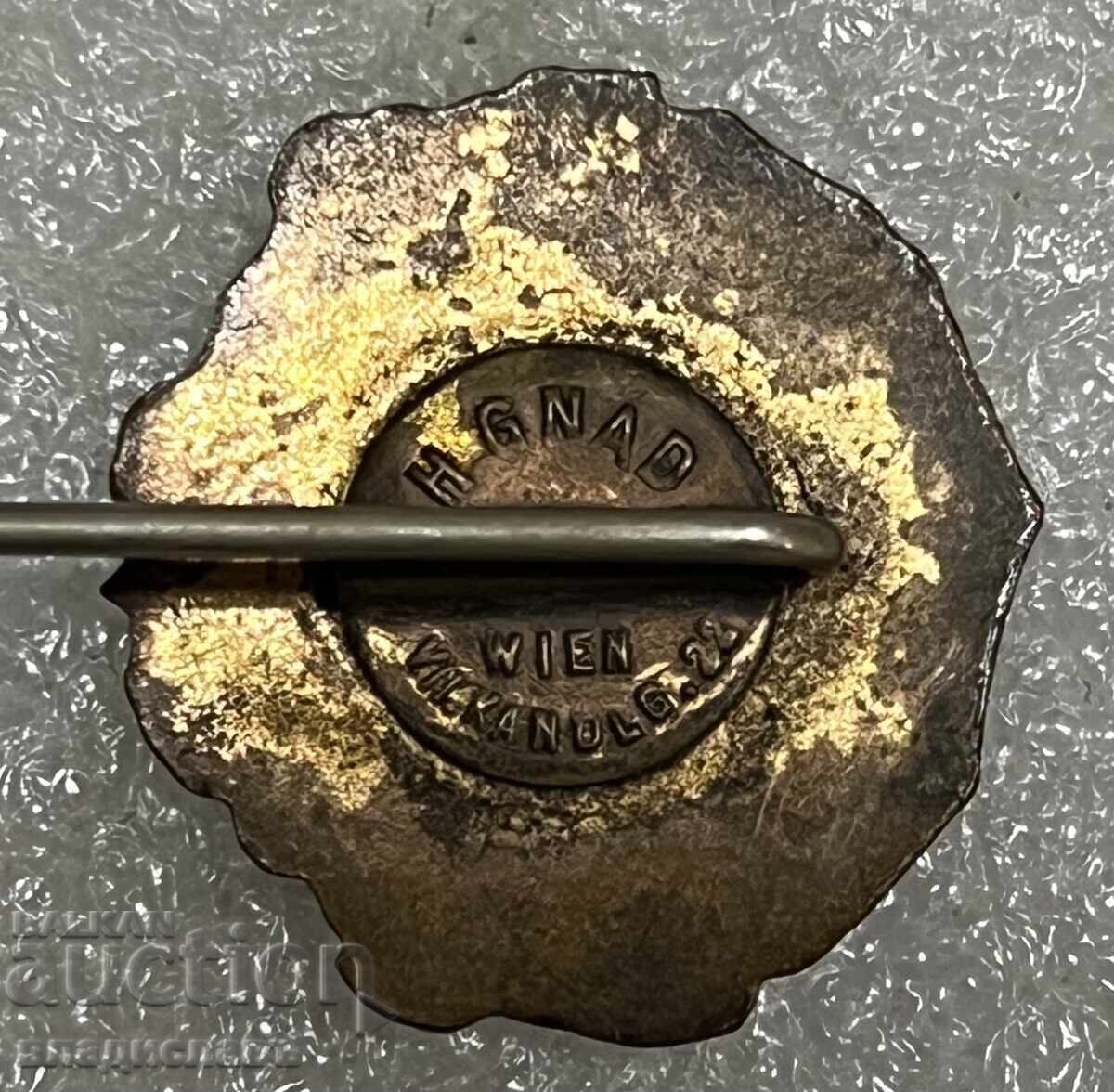 Vechi insignă țaristă UNIUNEA TINERETULUI MACEDONEAN - 5