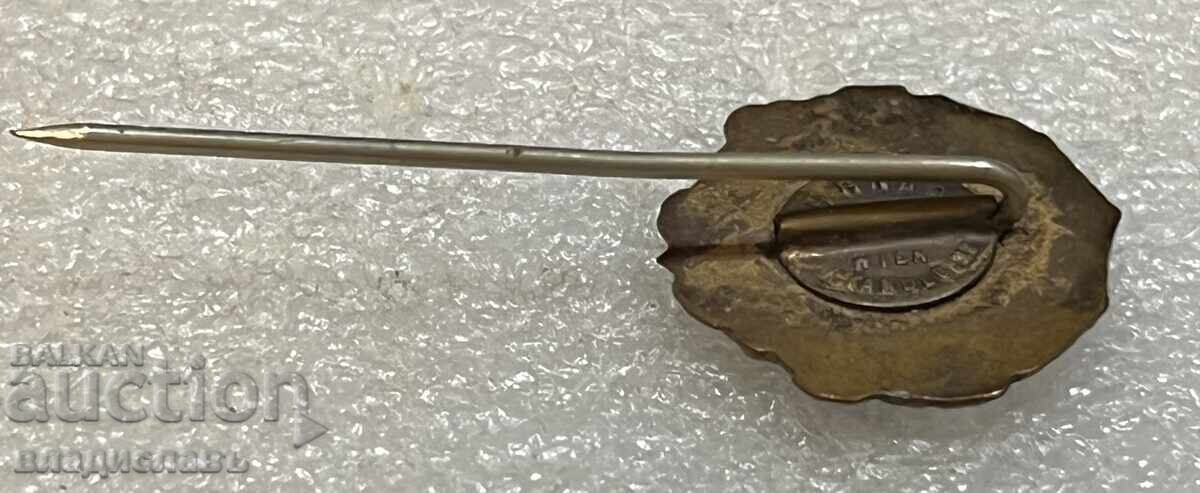 Old Royal Badge of the Macedonian Youth Union - 6