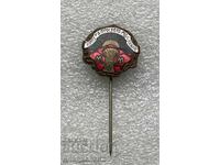 Vechi insignă țaristă UNIUNEA TINERETULUI MACEDONEAN