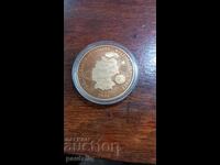 Plachetă placată cu aur Germania 2006