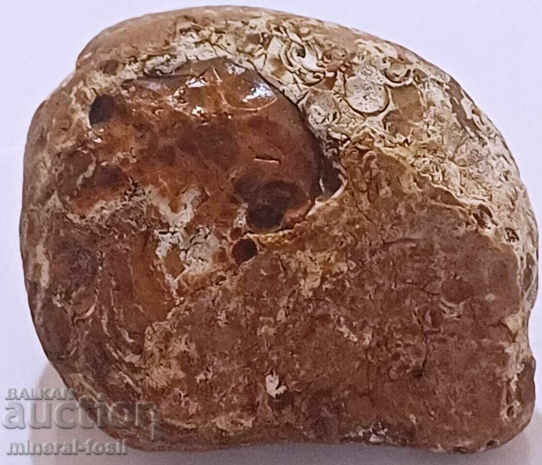 Bahia agate No. 2 - rough stone