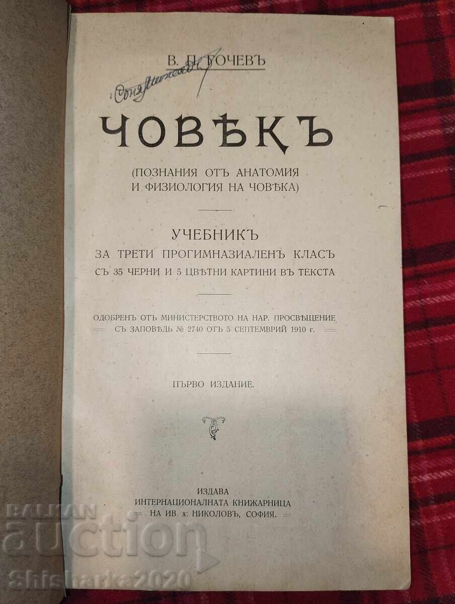 Licitație Convolut! Manuale de anatomie 2 buc