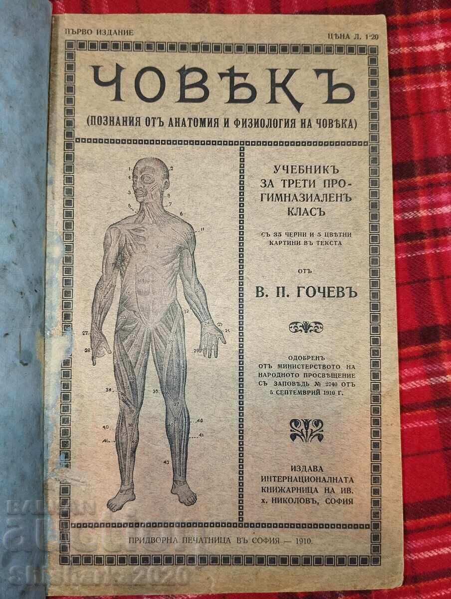 Convolut! Manuale de anatomie 2 buc