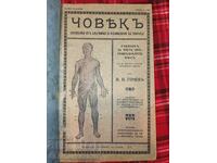 Κονβουλό! Βιβλία ανατομίας 2 τμχ