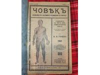 Convolut! Manuale de anatomie 2 buc