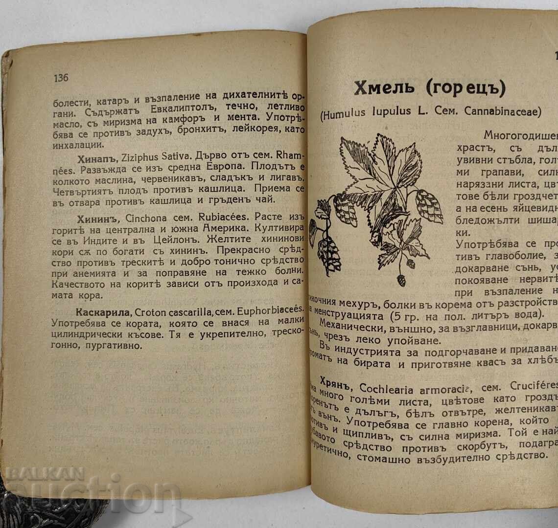 Delivery of MEDICINAL HERBS WITH 85 ILLUSTRATIONS, 373 HERBS, 95 RECIPES