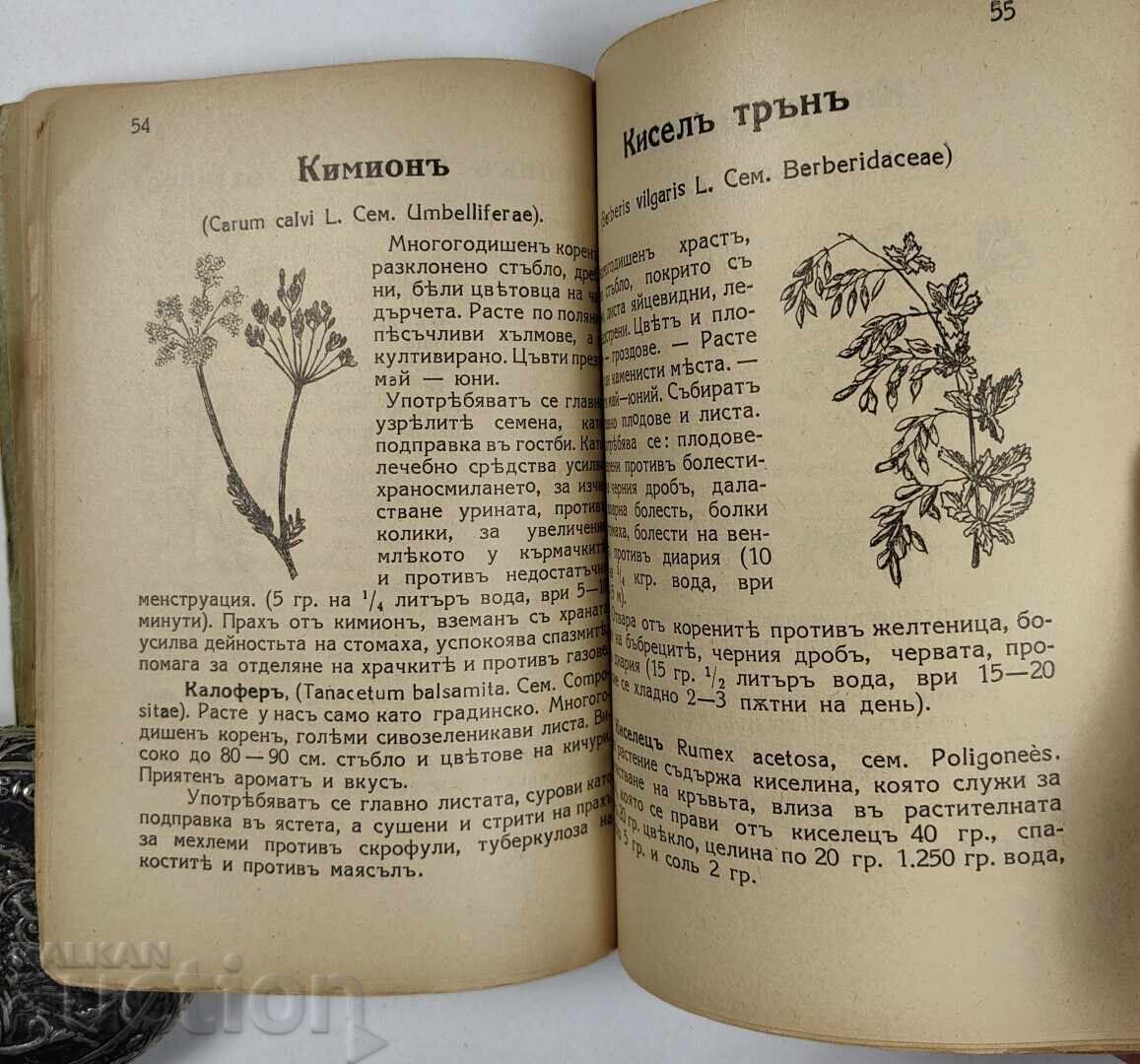 MEDICINAL HERBS WITH 85 ILLUSTRATIONS, 373 HERBS, 95 RECIPES - 5