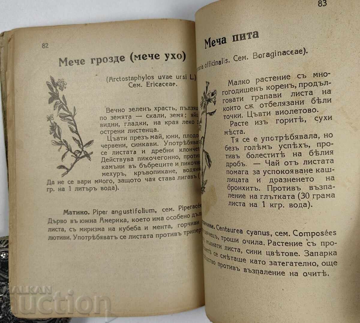 MEDICINAL HERBS WITH 85 ILLUSTRATIONS, 373 HERBS, 95 RECIPES - 6