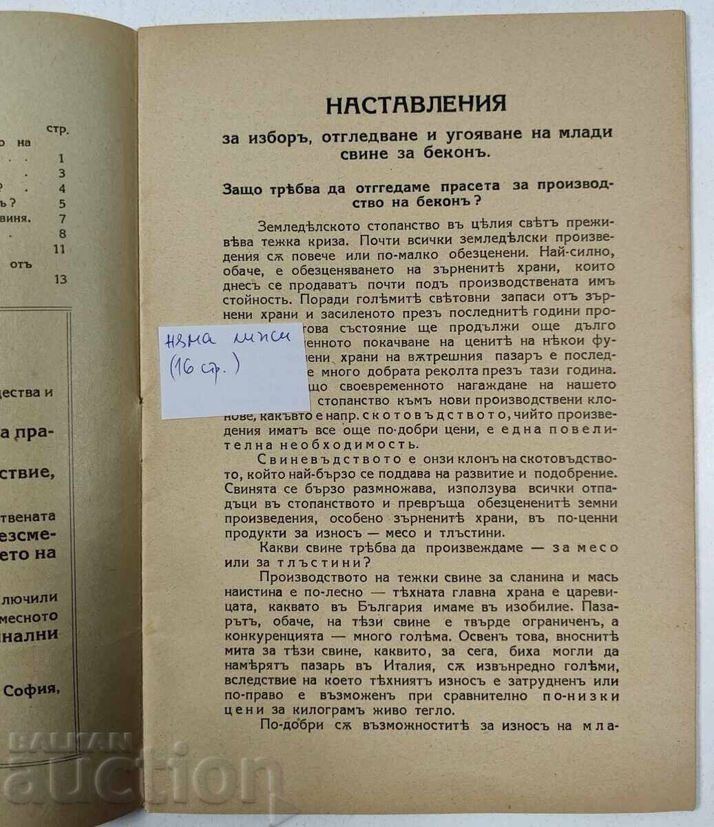 Аукцион НАСТАВЛЕНИЯ ЗА ИЗБОР ОТГЛЕДВАНЕ ХРАНЕНЕ МЛАДИ СВИНЕ БЕКОН Аукцион НАСТАВЛЕНИЯ ЗА ИЗБОР ОТГЛЕДВАНЕ ХРАНЕНЕ МЛАДИ СВИНЕ БЕКОН