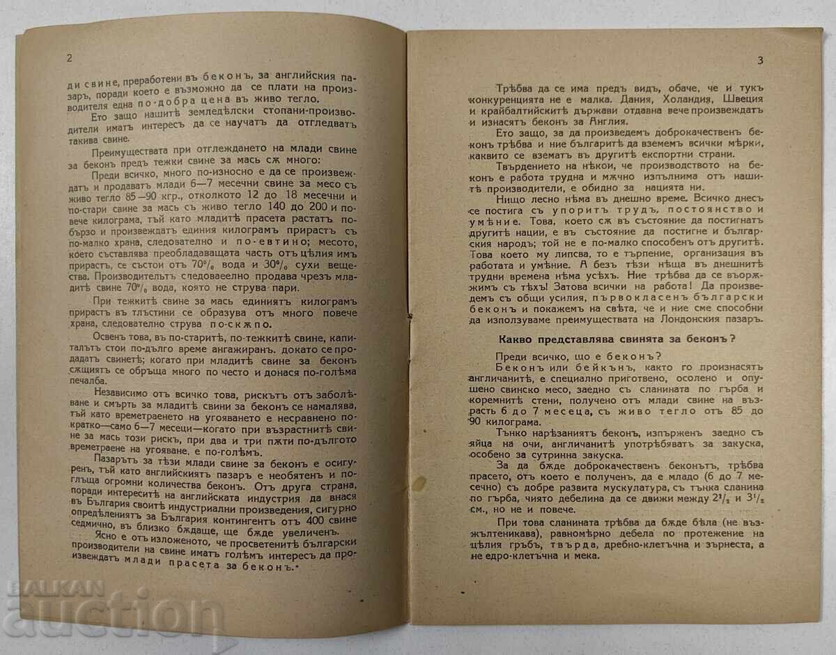 Delivery of Instructions for the Selection, Raising, and Feeding of Young Bacon Pigs