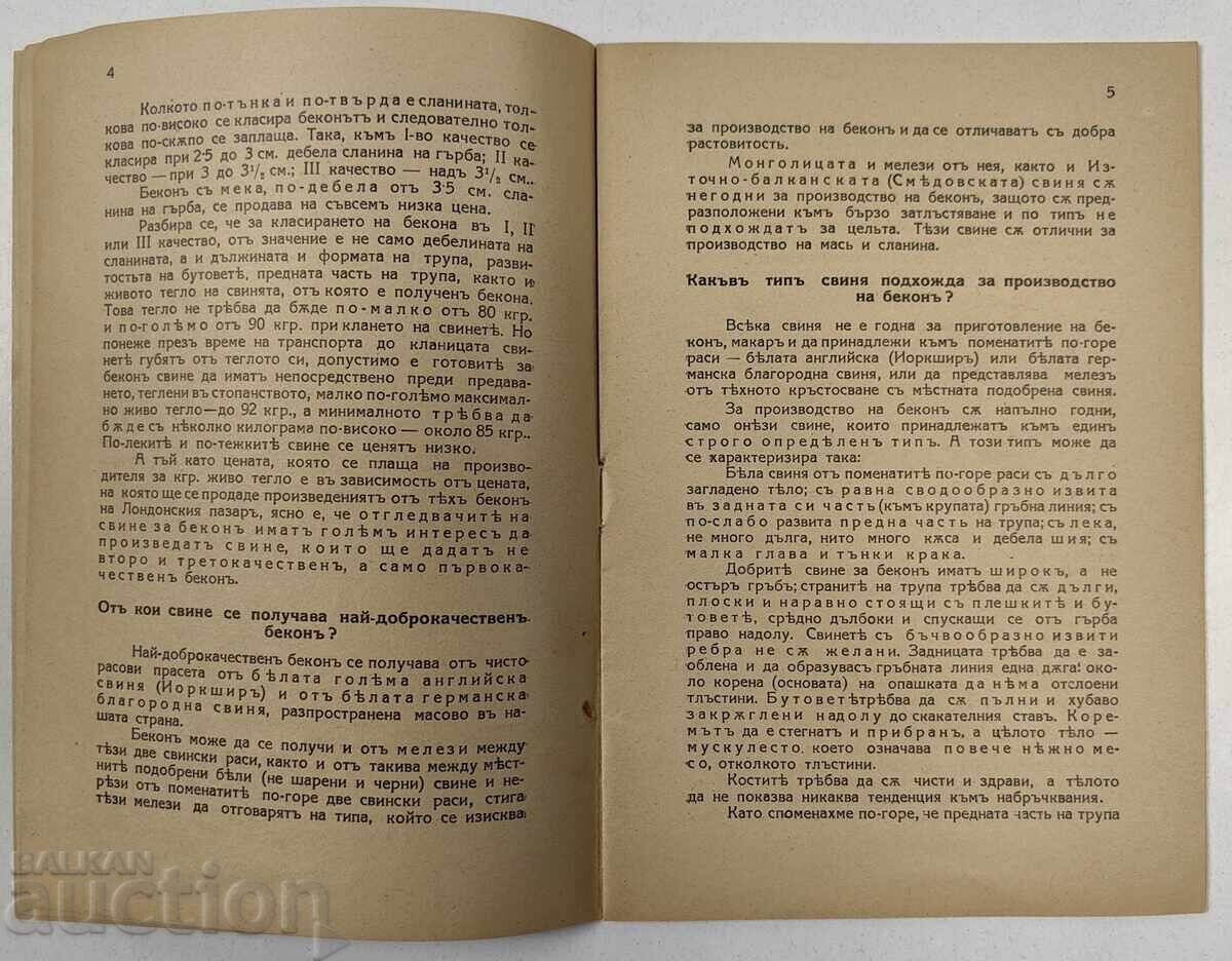 Instructions for the Selection, Raising, and Feeding of Young Bacon Pigs - 5