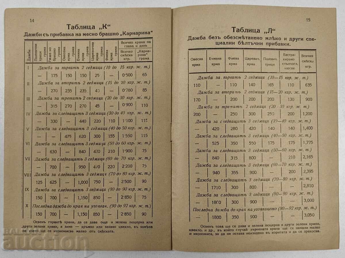Instructions for the Selection, Raising, and Feeding of Young Bacon Pigs - 6