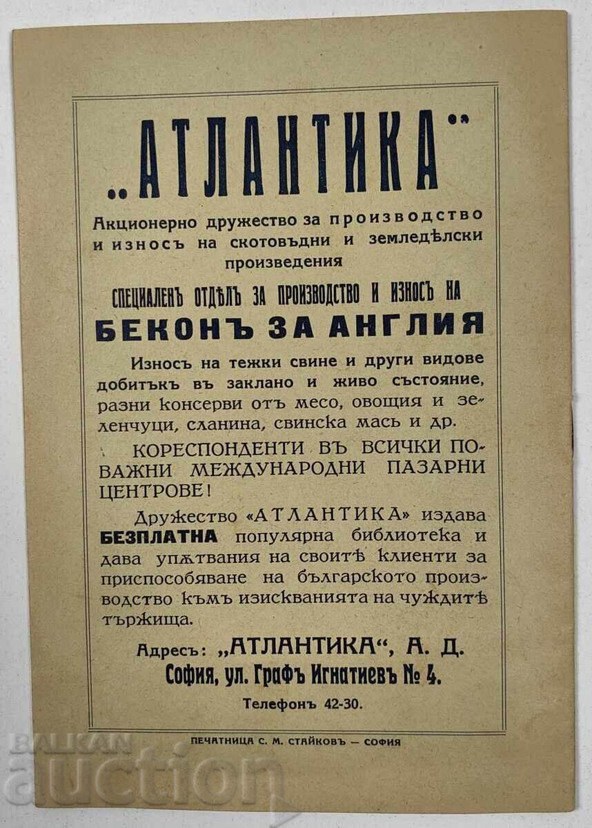 Instructions for the Selection, Raising, and Feeding of Young Bacon Pigs - 7