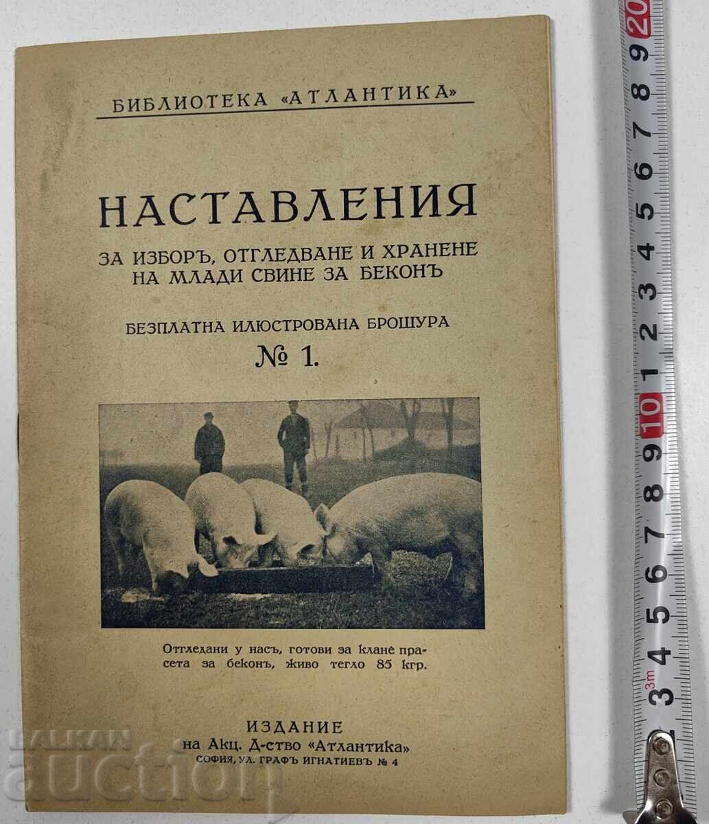 НАСТАВЛЕНИЯ ЗА ИЗБОР ОТГЛЕДВАНЕ ХРАНЕНЕ МЛАДИ СВИНЕ БЕКОН НАСТАВЛЕНИЯ ЗА ИЗБОР ОТГЛЕДВАНЕ ХРАНЕНЕ МЛАДИ СВИНЕ БЕКОН