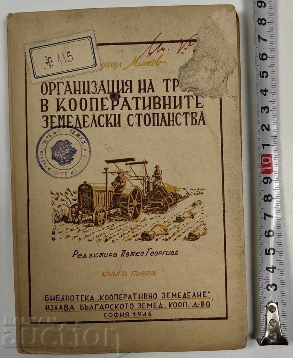 Organization of Labor in Cooperative Agricultural Farms Organization of Labor in Cooperative Agricultural Farms