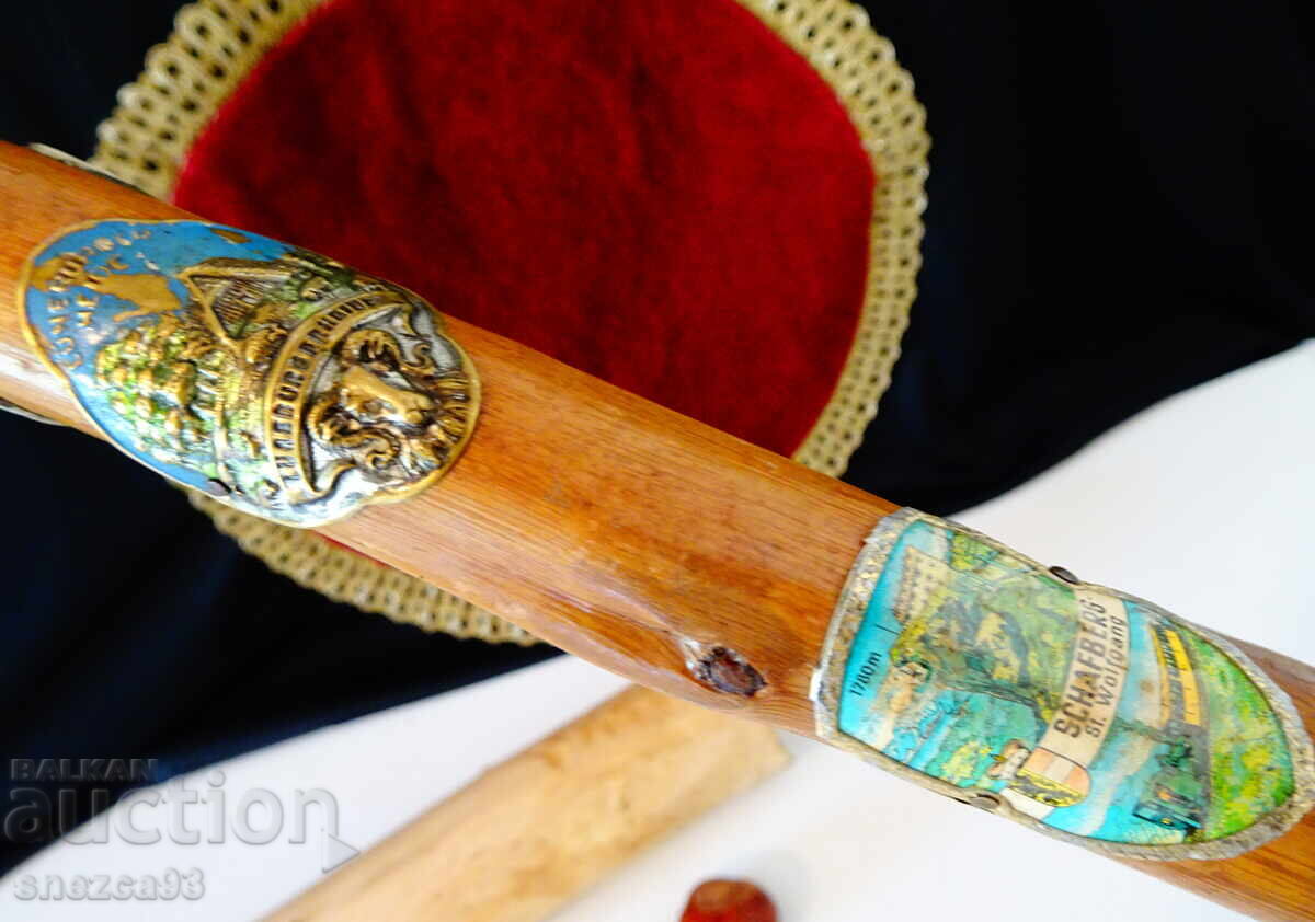 Тиролски бастун 21 значки,Елен,Овен,Глиган,Елен с Кръст. - 5