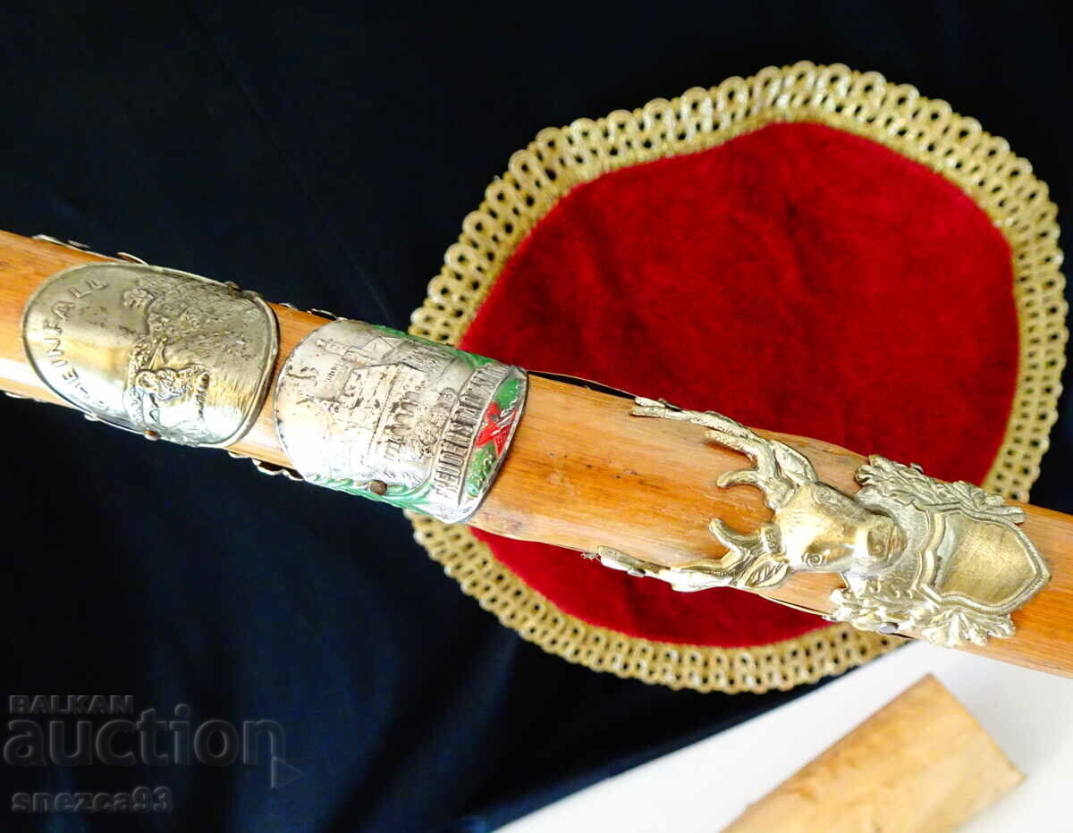 Тиролски бастун 21 значки,Елен,Овен,Глиган,Елен с Кръст. - 6