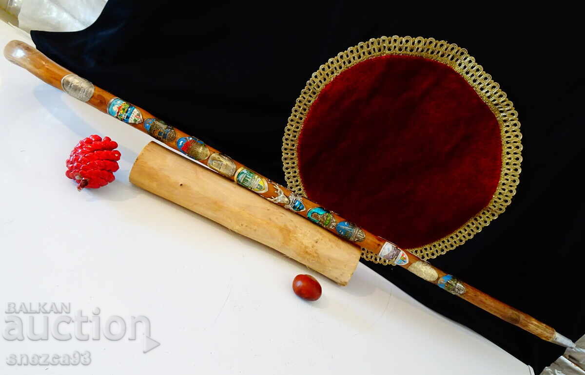 Тиролски бастун 21 значки,Елен,Овен,Глиган,Елен с Кръст.