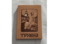 CÂNTECE VECHI ȘI ȘLAGĂRE COLECȚIE TRIAVNA 1978