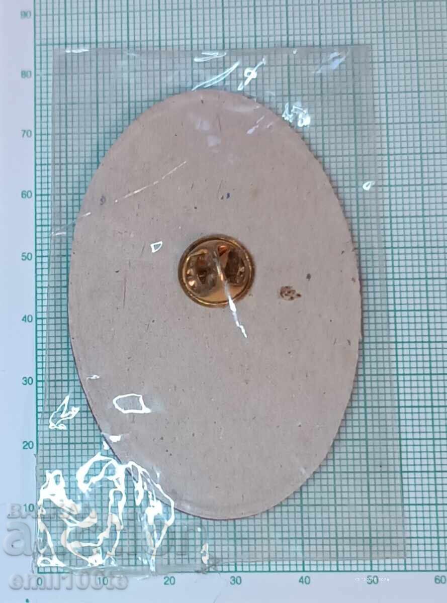 Delivery of Badge - St. Alexander Nevsky Cathedral Delivery of Badge - St. Alexander Nevsky Cathedral