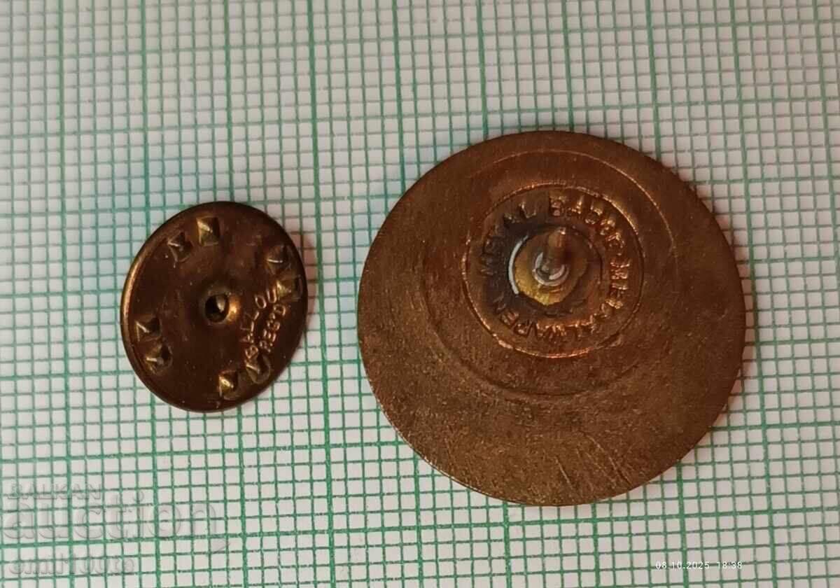 Σήμα - Ομοσπονδία Χόκεϊ επί Πάγου της Νότιας Αφρικής - 6 Σήμα - Ομοσπονδία Χόκεϊ επί Πάγου της Νότιας Αφρικής - 6